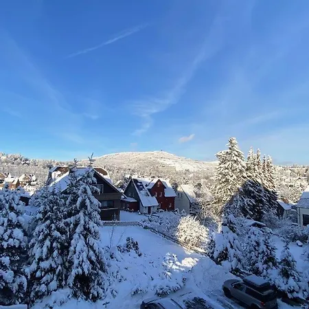Gipfelblick * Braunlage