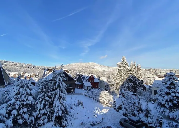 Gipfelblick Mit Fantastischem Wurmbergblick * ブラウンラーゲ